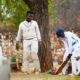 saurashtra cricket team